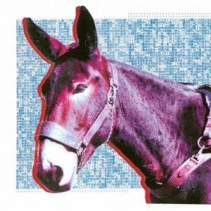 PROTOMARTYR - "ULTIMATE SUCCESS TODAY" //Domino// (Released***NOW 17th June)