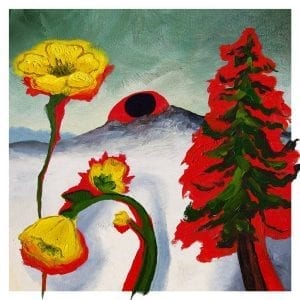 WOODS - "STRANGE TO EXPLAIN" //Woodsist Records// (Released ***NOW 3rd July)