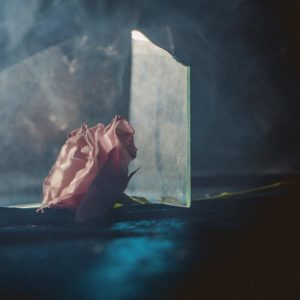 LEE RANALDO - "IN VIRUS TIMES" //Mute// (Released 12th November)