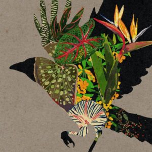 COLDCUT/VARIOUS ARTISTS - "@0" //Ahead of Our Time// (Released 19th November)