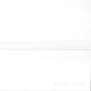 Foo Fighters - But Here We Are (Released 2nd June 2023) (Sale)