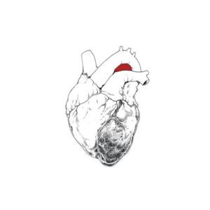Swans - "The Beggar" (Released 23rd June 2023)