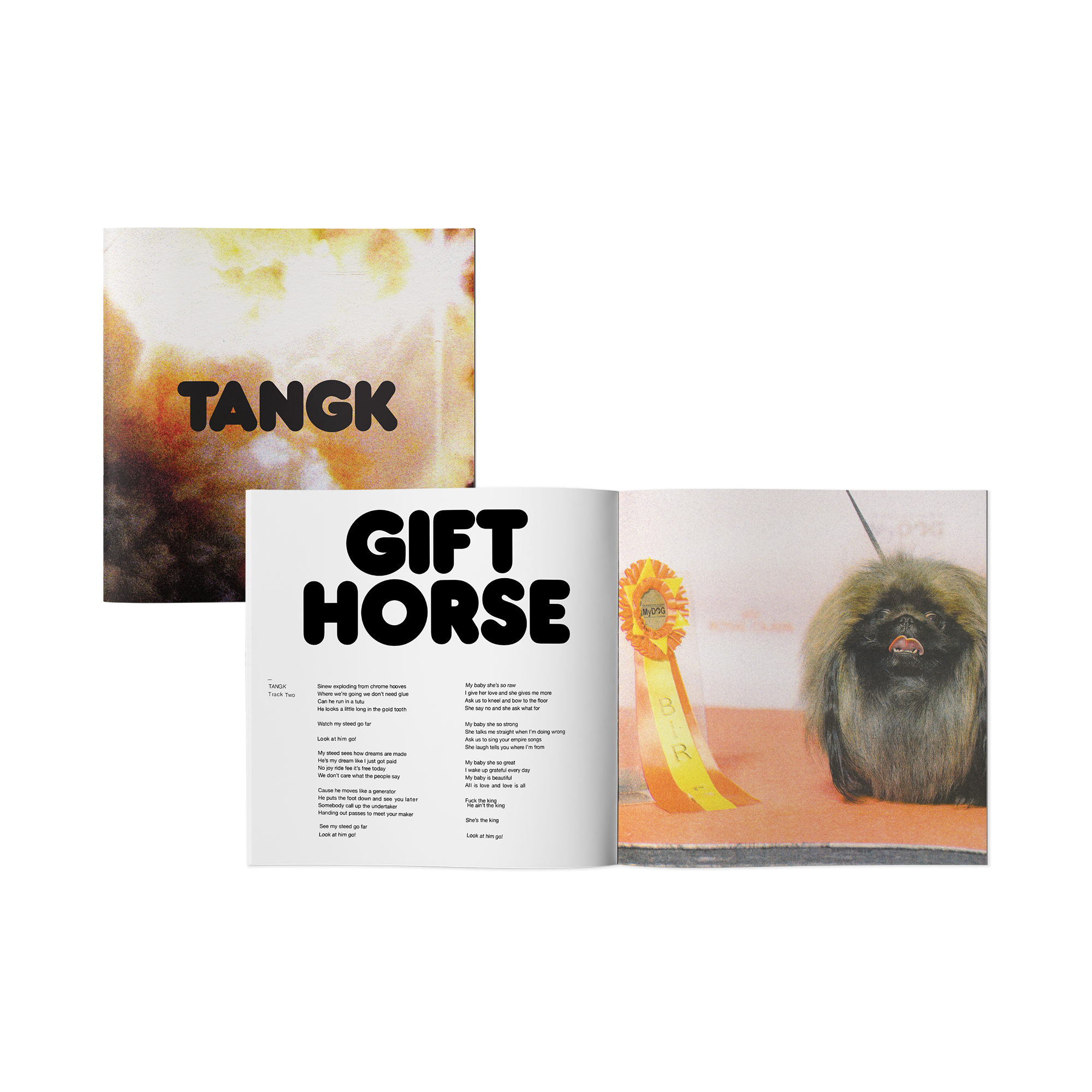 洋楽 IDLES / TANGK [Orange vinyl] Idles - Tangk (autographed orange vinyl) : r/vinyl