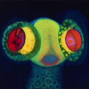 Osees - Sorcs 80 (Released 9th August 2024)