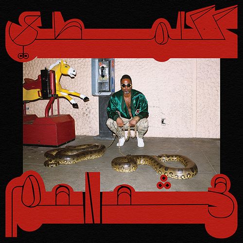 Shabazz Palaces - "Robed in Rareness" (Released 29th March 2024)