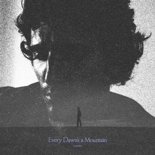 Tamino – "Every Dawn’s A Mountain" (Released 21st March 2025)