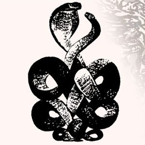 Bardo Pond - "Volume 4 & 5" (Released 16th May 2025) (Sale)