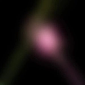 Various Artists - "Wicked For Good: The Soundtrack (Black Friday 2025)" (Released 28th November 2025)