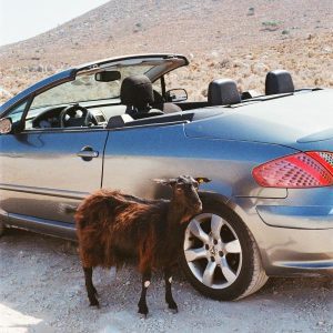 EXEK - "Prove The Mountains Move" (Released 27th February 2026)