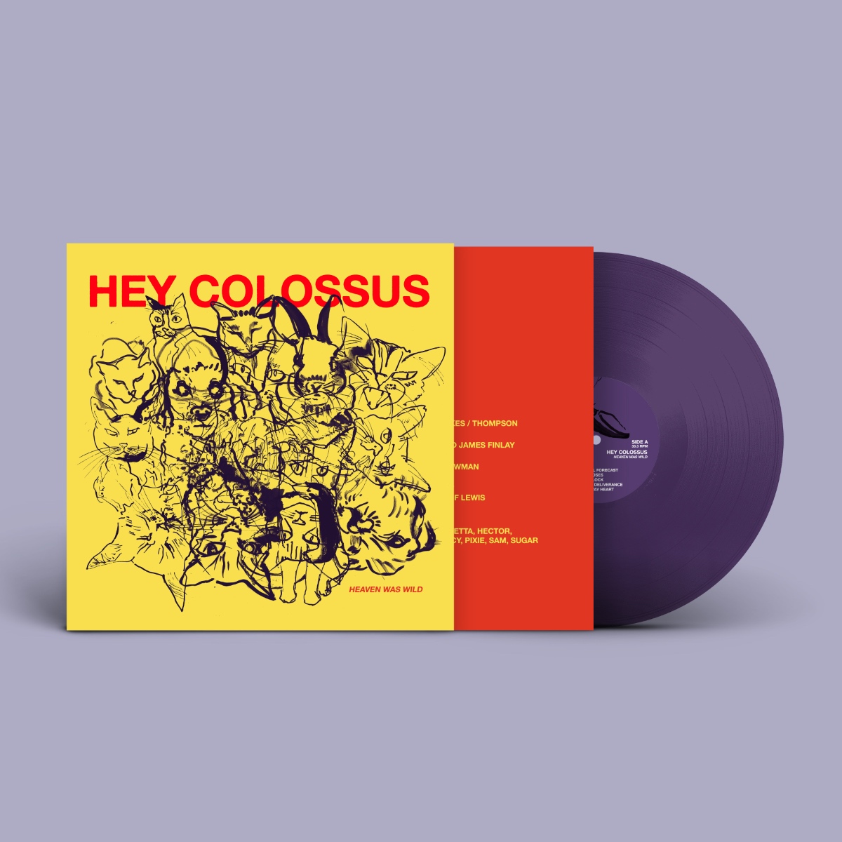 Hey Colossus - "Heaven Was Wild" (Released 6th March 2026) - Image 2
