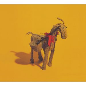 Carter The Unstoppable Sex Machine - "Straw Donkey... The Complete Singles (2026 Reissue)" (Released 20th March 2026)