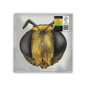 King Gizzard & The Lizard Wizard - "Big Fig Wasp (RSD 2026)" (Released 18th April 2026)