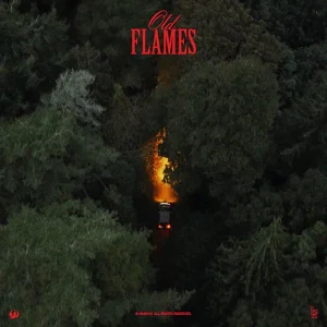 La Roux - "Old Flames" (Released 6th November 2026)
