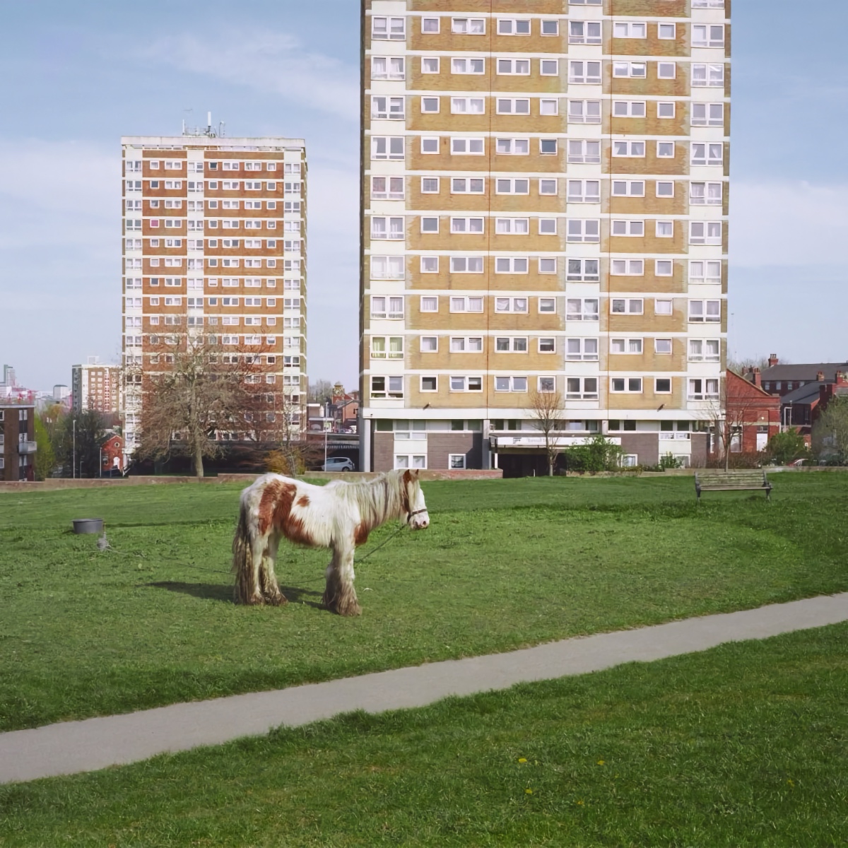 Westside Cowboy - "It Goes On" (Released 21st August 2026)
