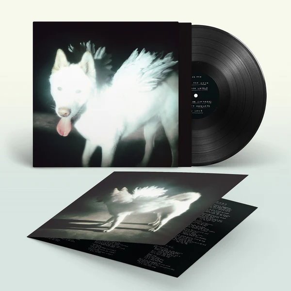 Fat Dog - "Cancel Me (I'm Tired)" (Released 2nd October 2026) - Image 2