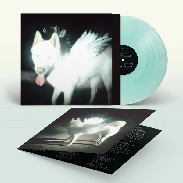 Fat Dog - "Cancel Me (I'm Tired)" (Released 2nd October 2026) - Image 3