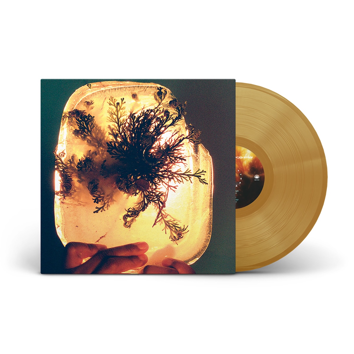 L'Rain - "Fata Morgana" (Released 14th August 2026) - Image 2