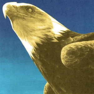 Protomartyr - "Hotel Usona" (Released 25th September 2026)