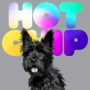 Hot Chip - "A Long Way From Kansas" (Released 8th January 2027)