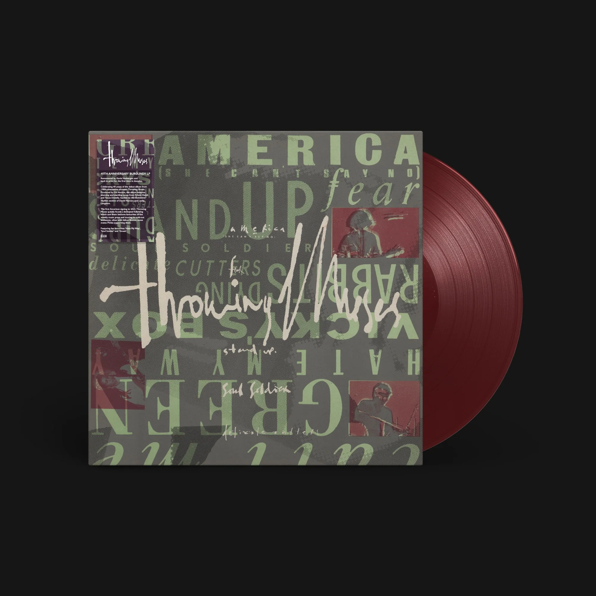 Throwing Muses - "Throwing Muses (40th Anniversary Edition)" (Released 11th December 2026) - Image 2